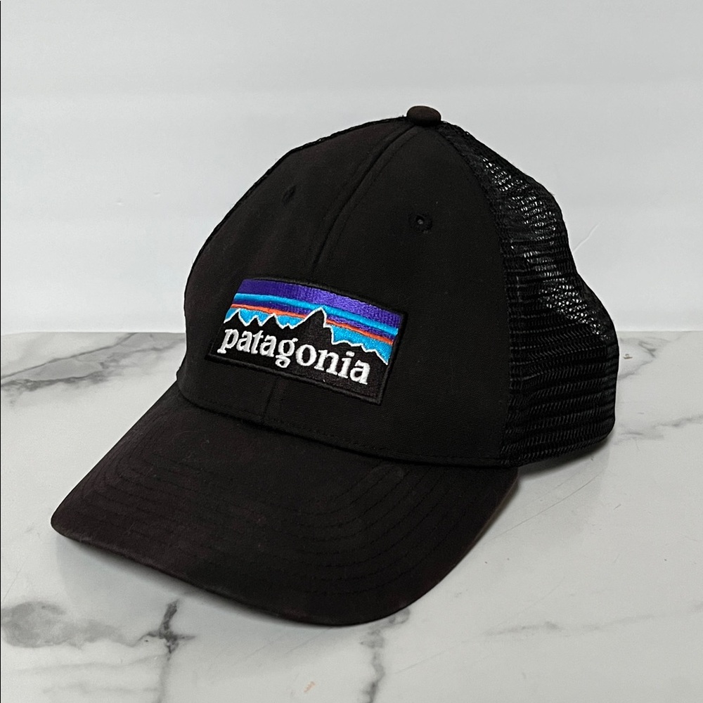 Patagonia Black Trucker Hat